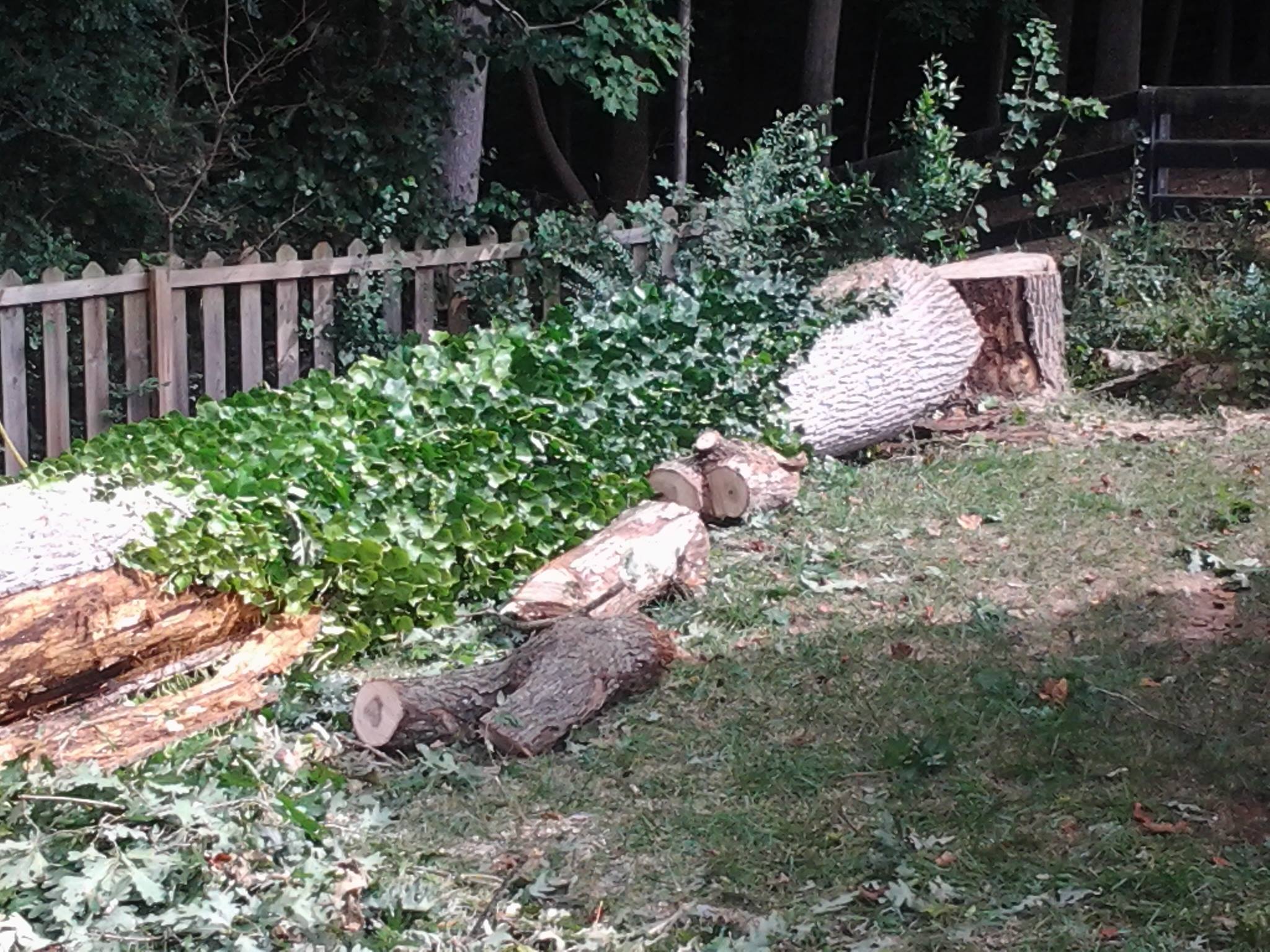  for Wofford's Grading Clearing and Landscaping in Milton, GA