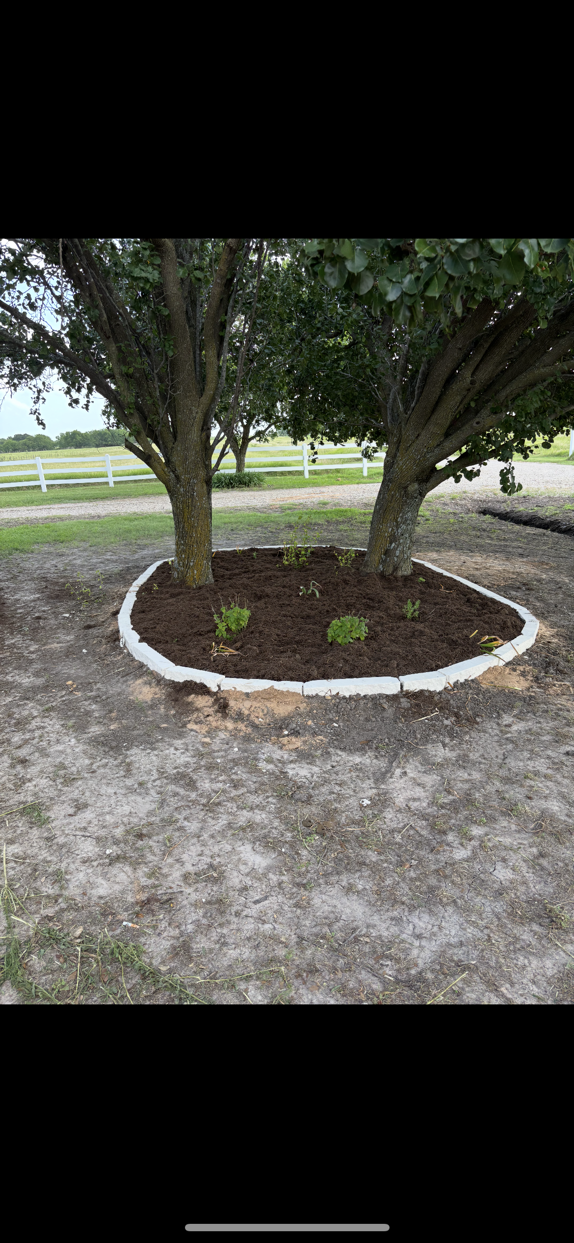  for Piña’s Lawncare in Waco, TX
