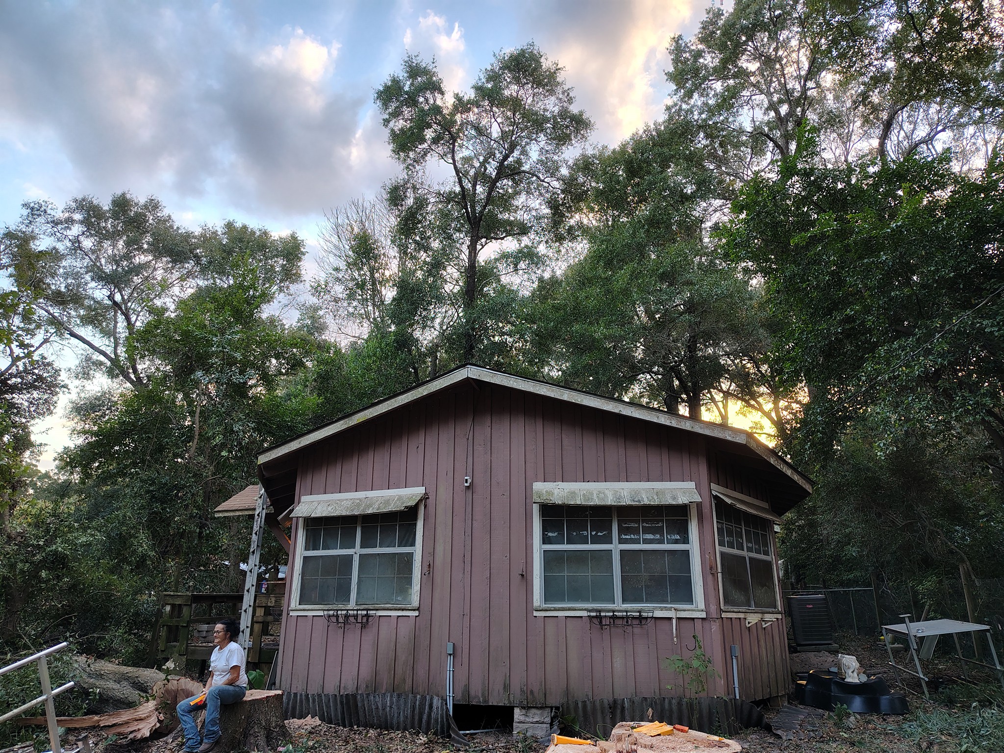  for Alpers Tree Services in Cleveland, TX