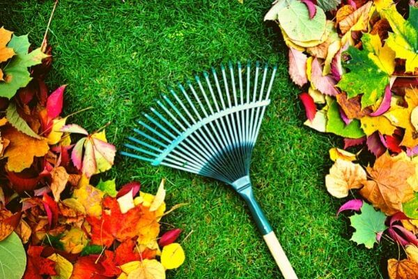  for Northern Lawn And Landscape  in Sebec, ME
