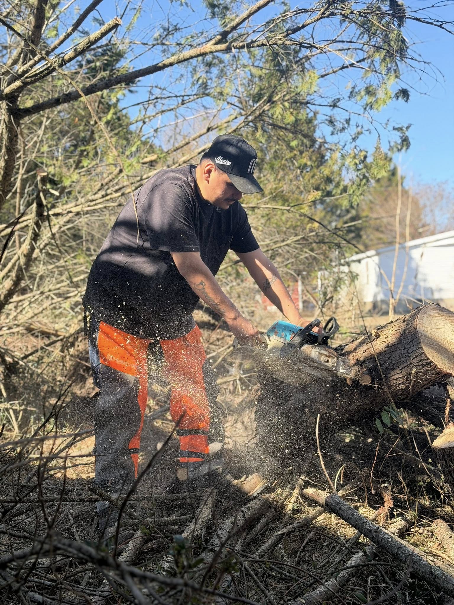  for Ramirez Tree Care in Elkin, NC