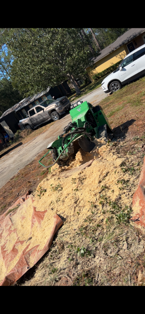  for All Seasons Tree and Land Works in Trenton, FL