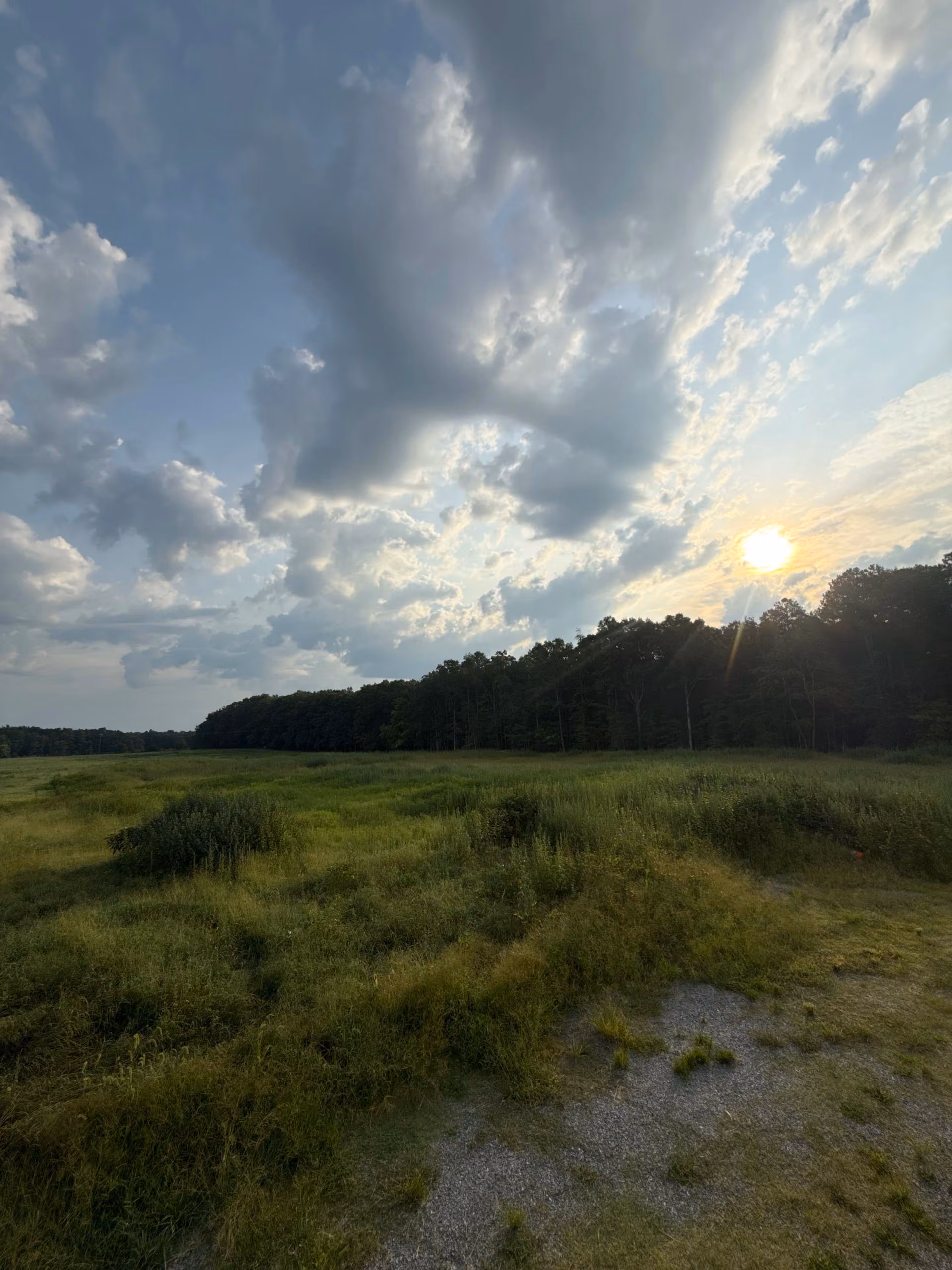 Transforming King William County: Expert Land Clearing by Capece Land Solutions