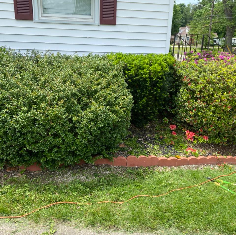  for Lopez Landscaping & Snow Removal LLC in Conneaut, OH