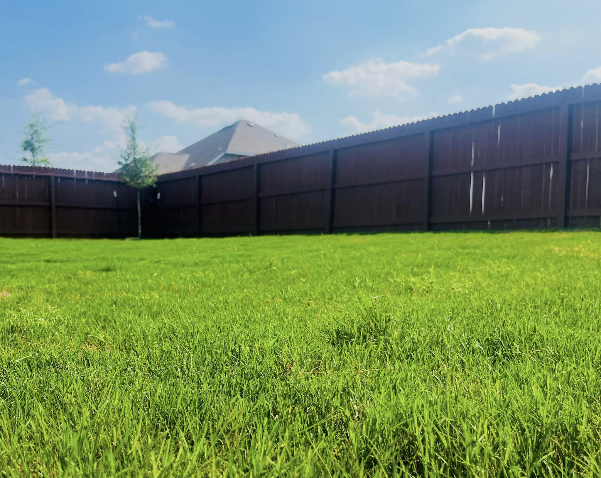  for Kozy Lawn & Landscapes in Castroville, TX