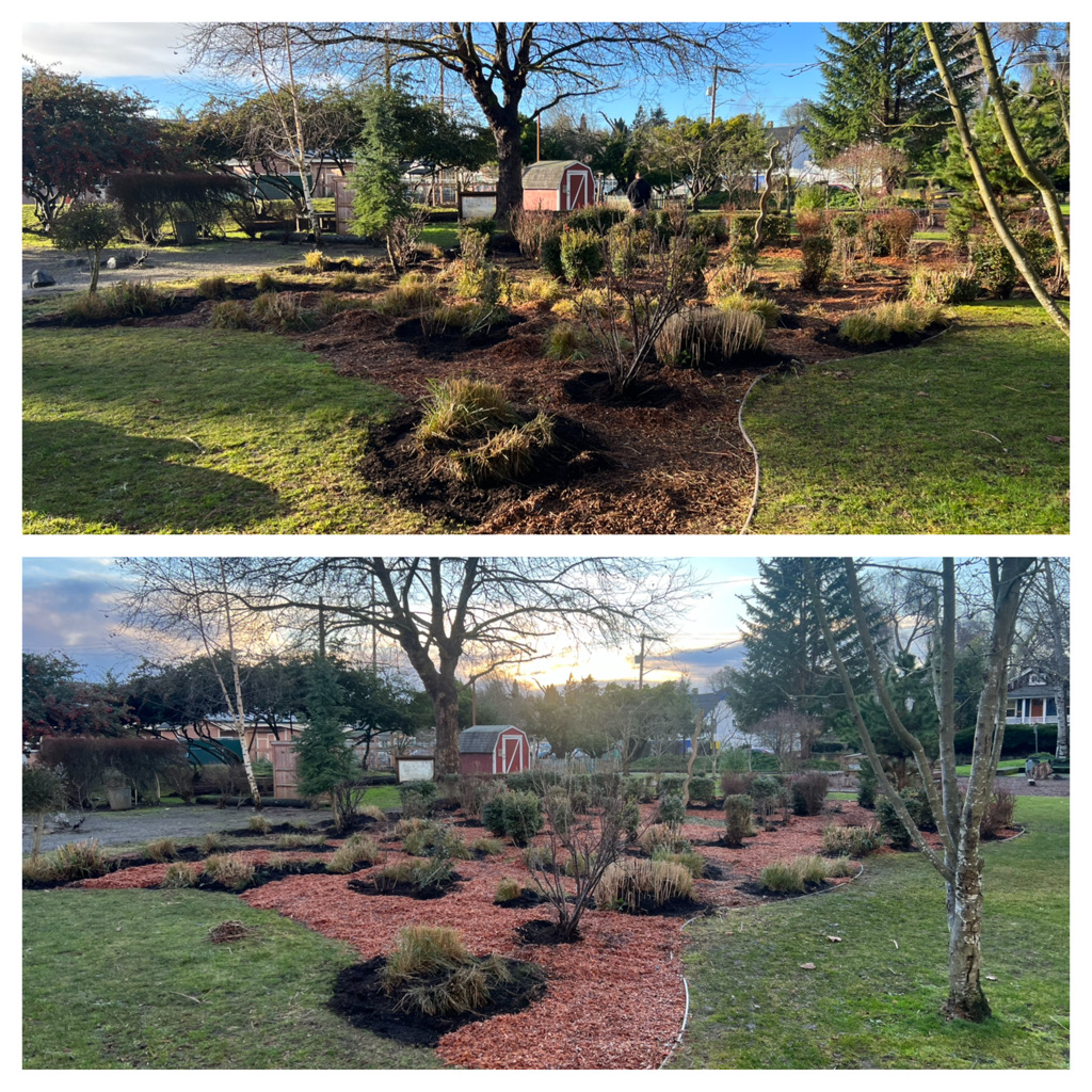 Fall clean up work by Hall of Fame Landscaping in Kitsap County, Washington