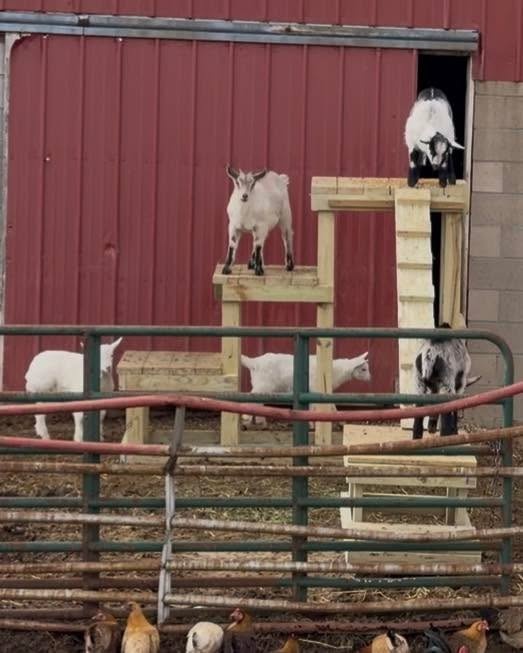  for Yoder Sheds in Chili, WI