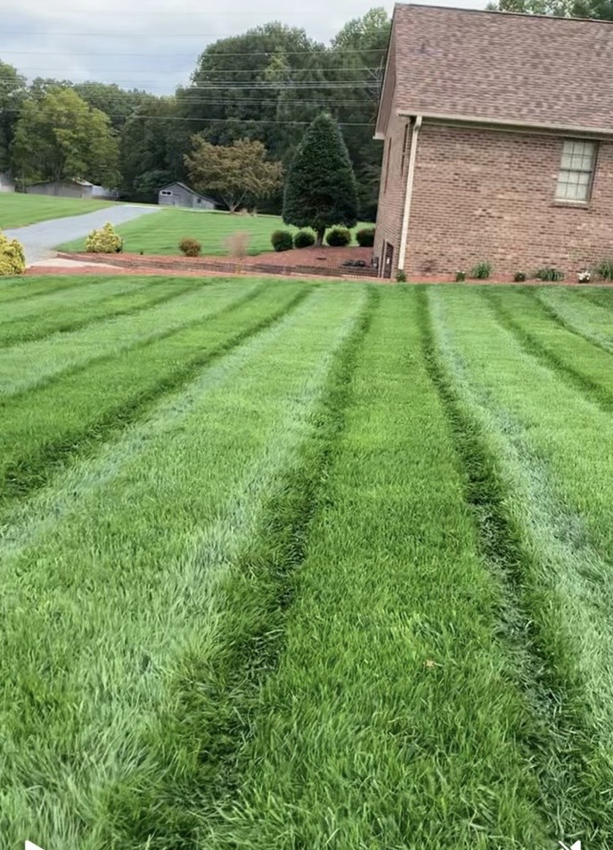  for Zotelo’s Lawncare LLC in Winston-Salem, NC