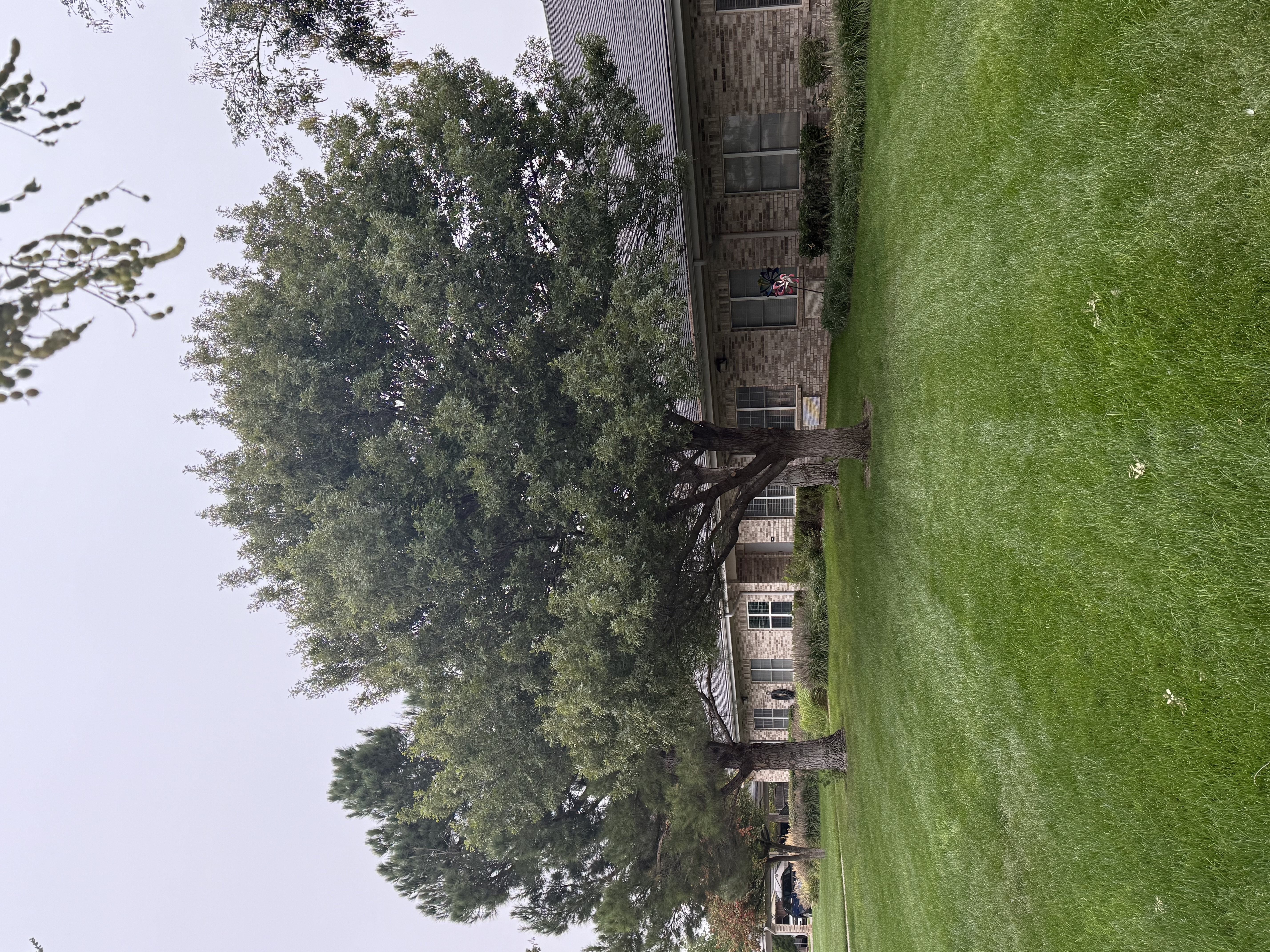  for R&J Hydromulch in Booker, TX