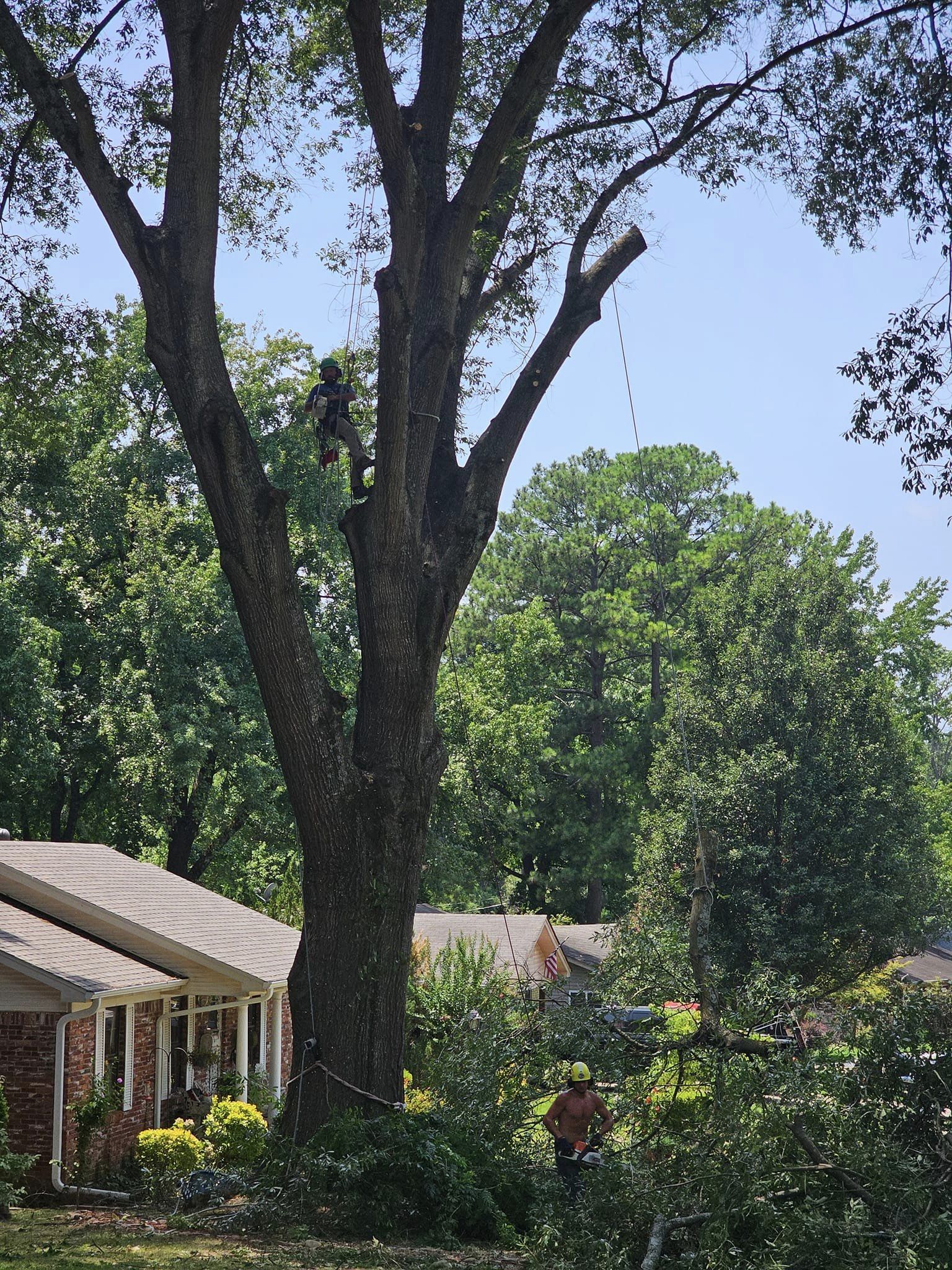 Millers Tree Service team in Saline County, AR - people or person