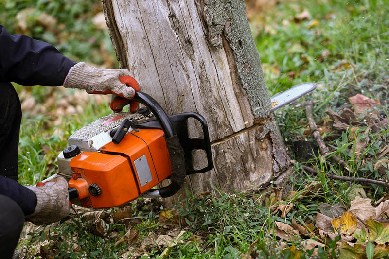 Broadway Tree Care team in Inverness, FL - people or person