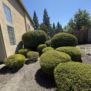  for CBA Landscaping in Hayward, CA