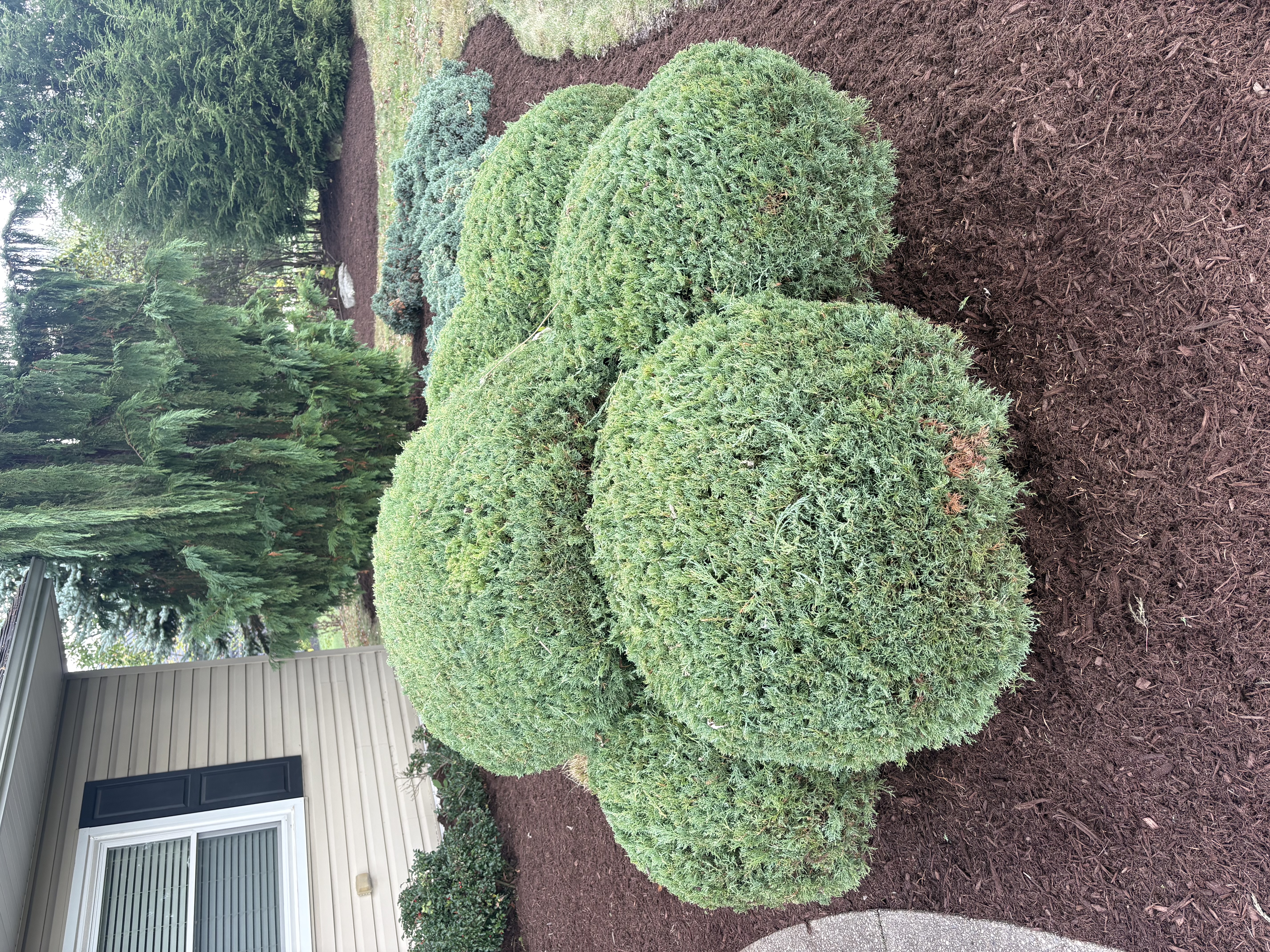 Cam Yardz team in Washington, PA - people or person