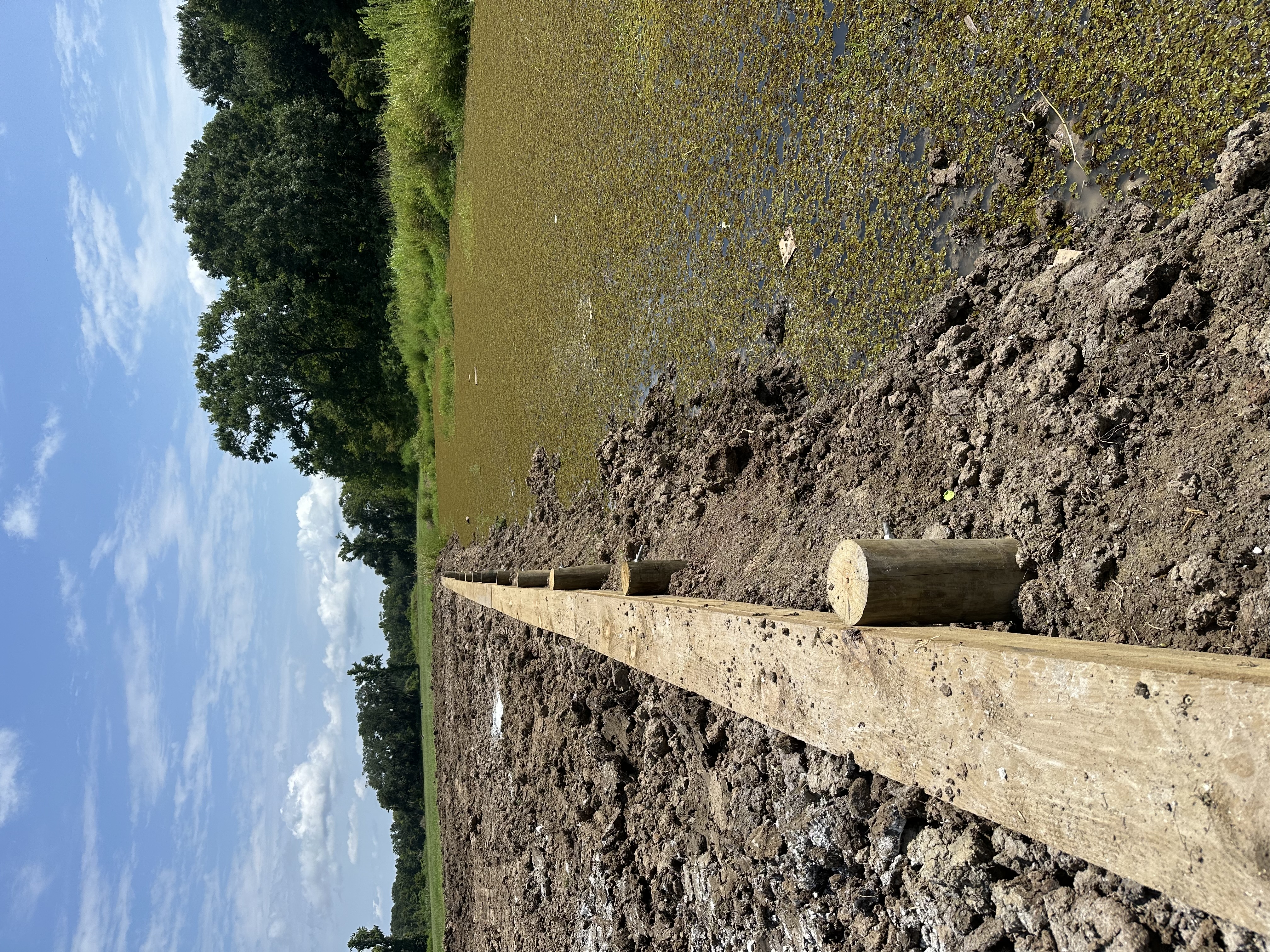  for Bulkhead Construction Services in Houma, LA