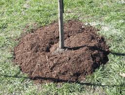  for Holloway Yard in Greensboro, NC