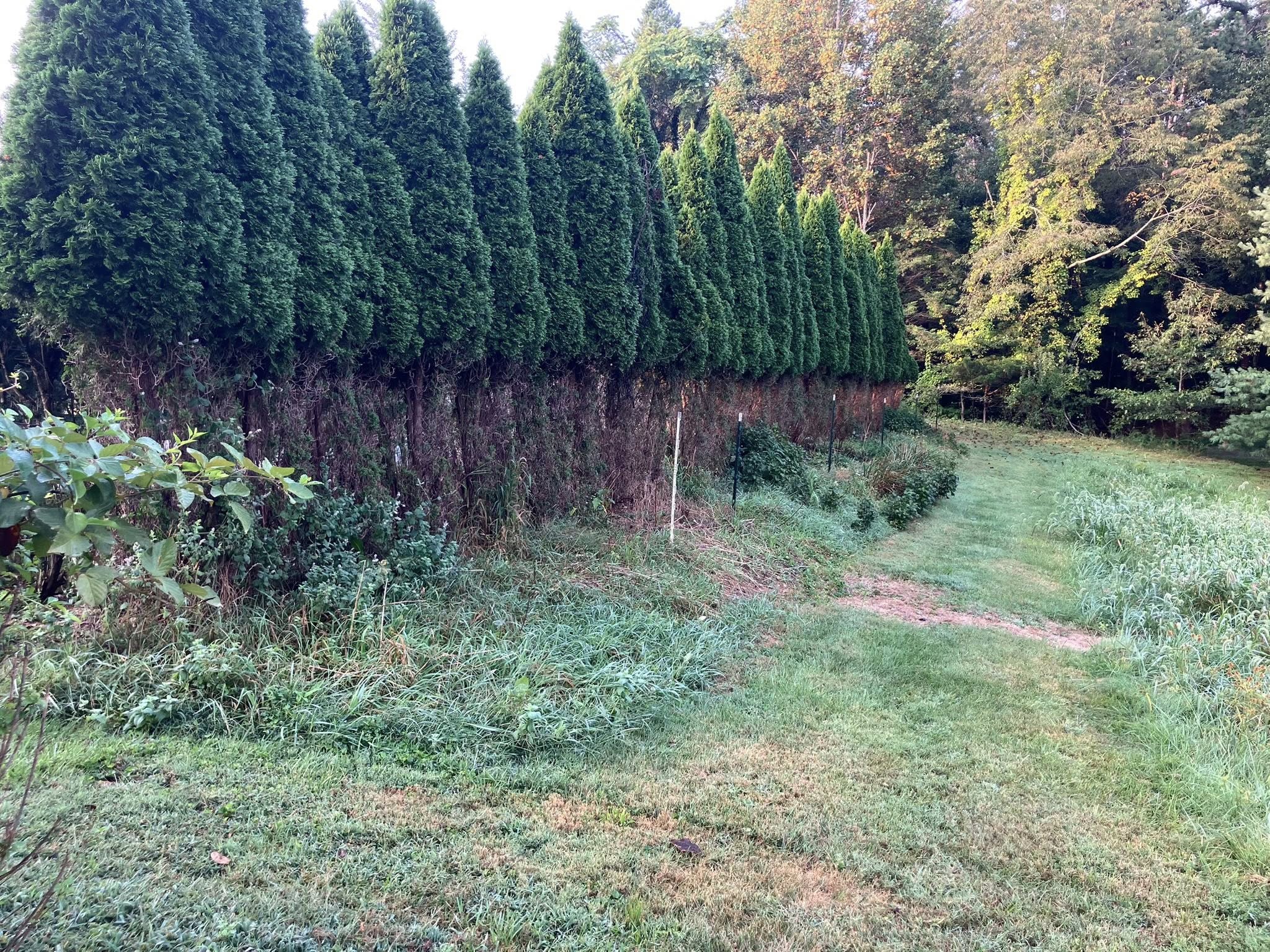  for 9999 Building and Renovation LLC in Warrenton, VA