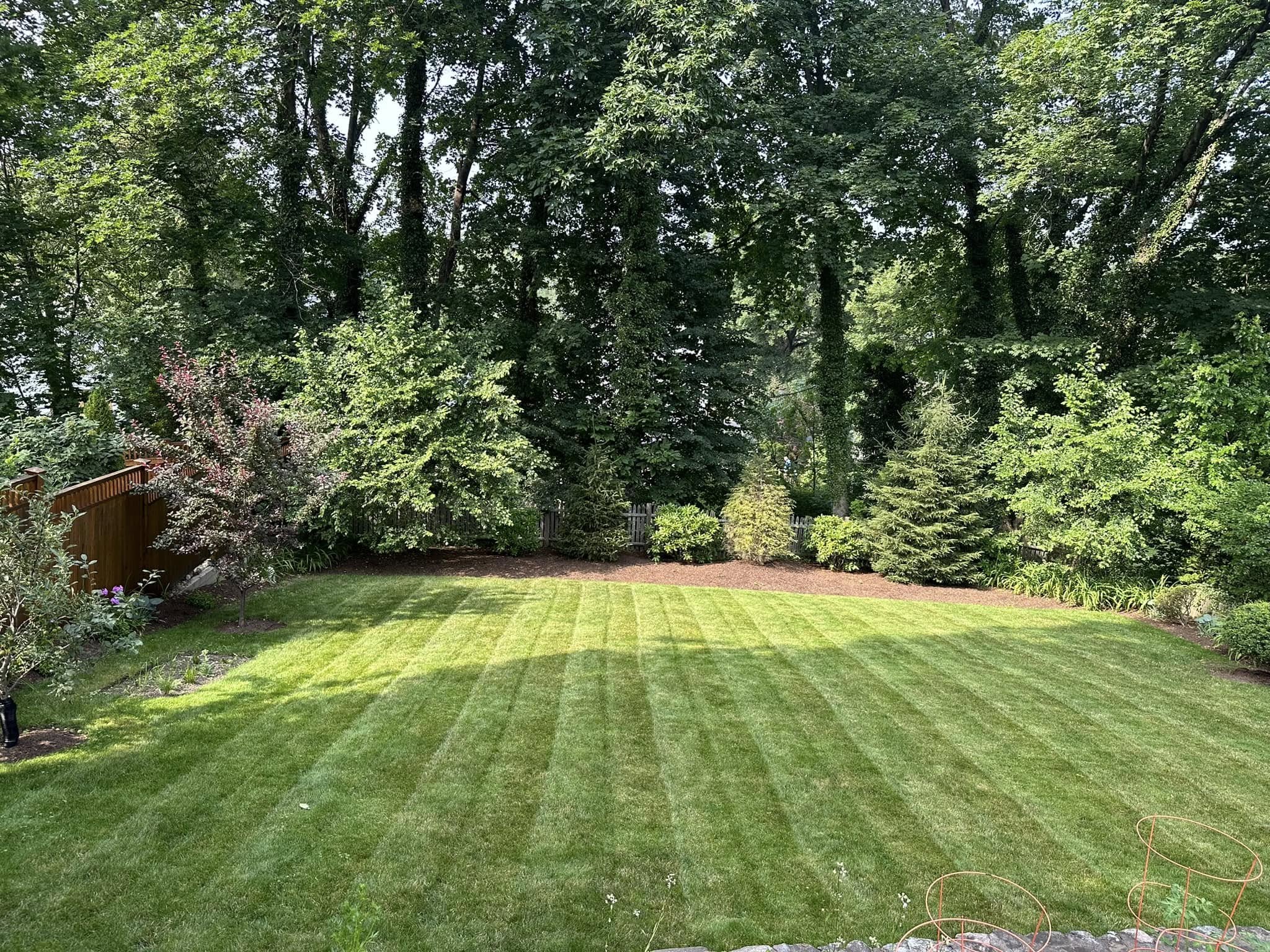  for Saavedra & Sons Landscaping in Waltham, MA