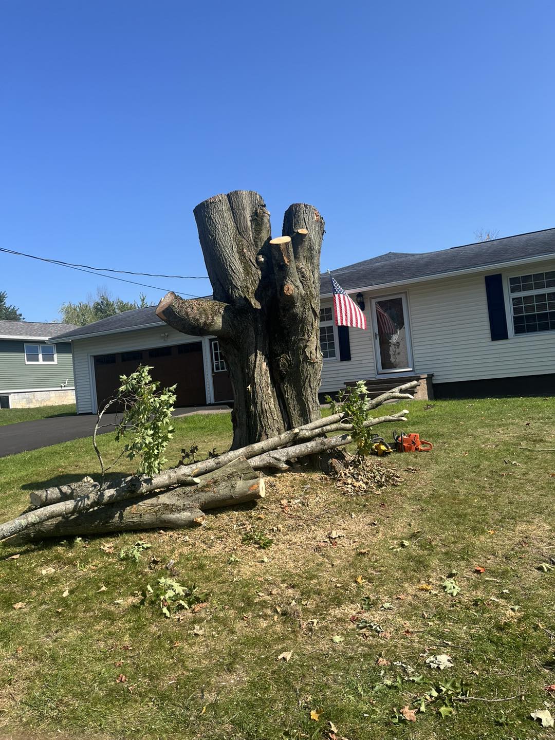  for Helfert Tree Service in Boonville, NY