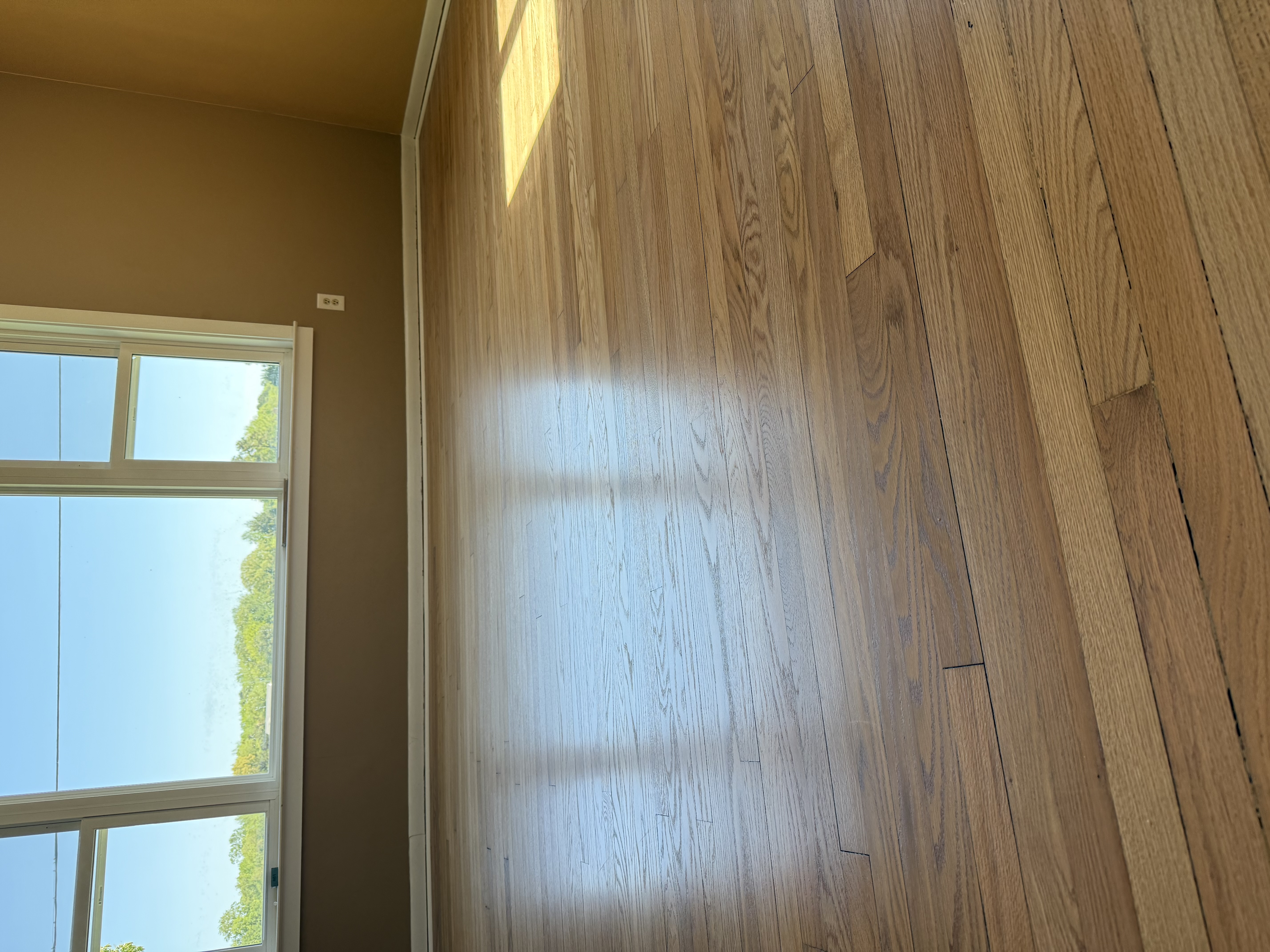  for Finely Finished LLC in Wyoming, DE