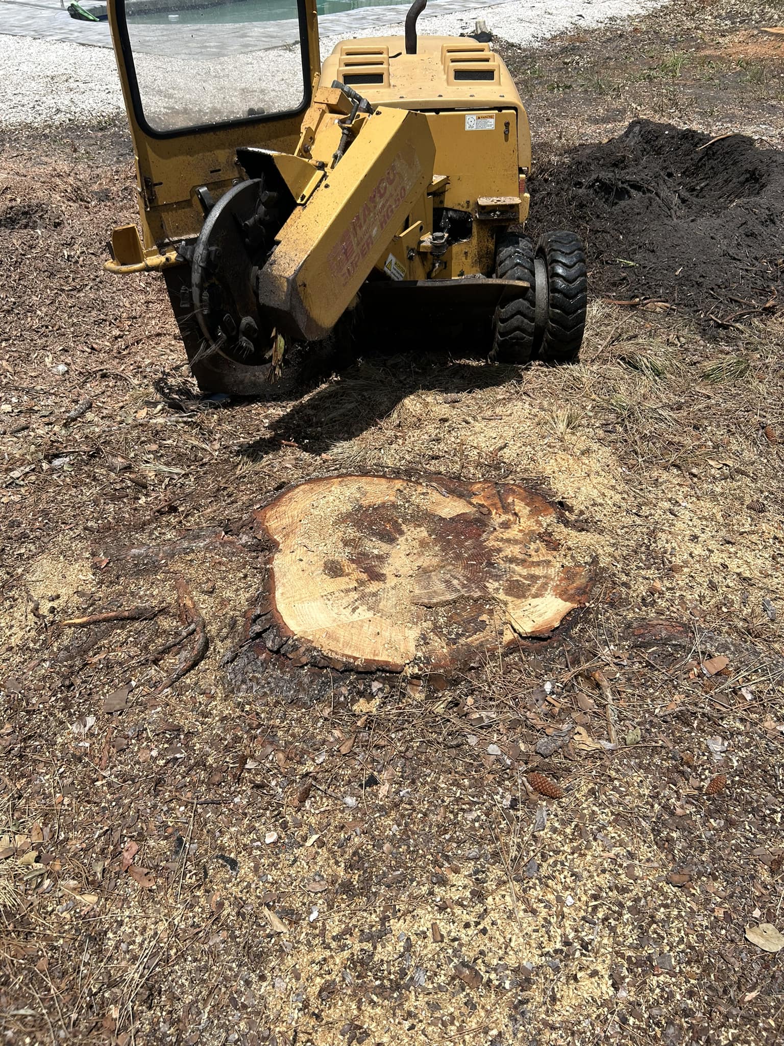 Grizzly Stump Grinding team in Sarasota, FL - people or person