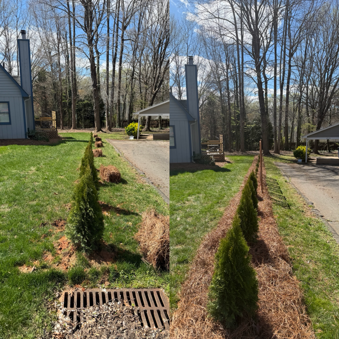  for Holloway Yard Company in Winston-Salem, NC