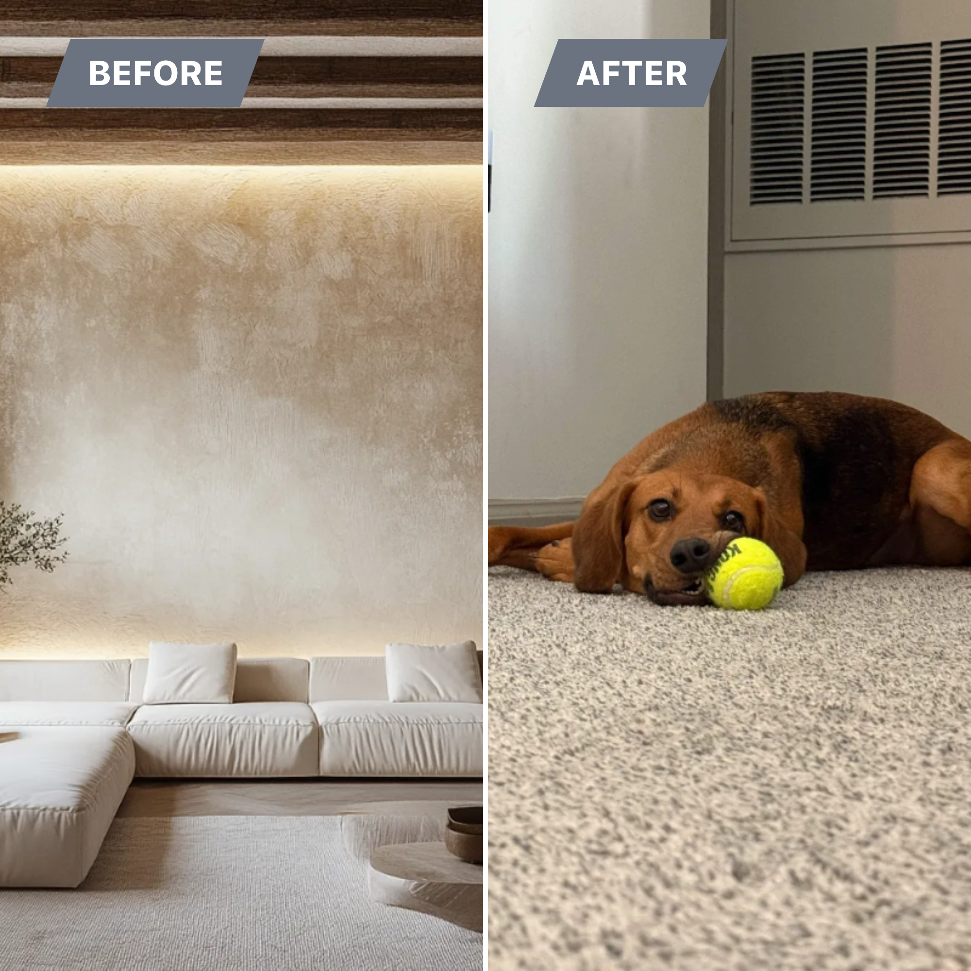  for Gallagher's Plastering in Mississauga, ON