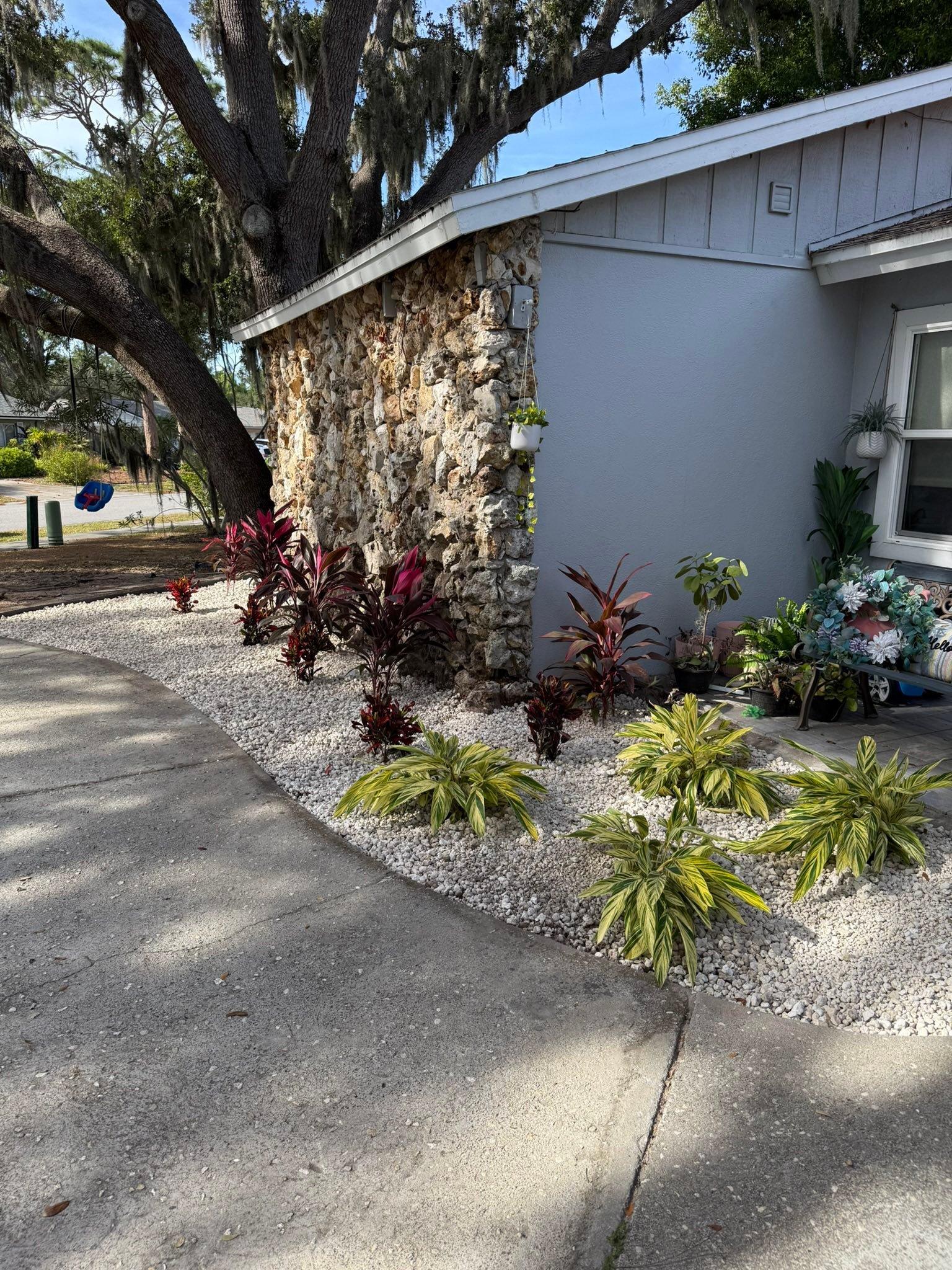  for Damian’s Tree Care in Sarasota, FL