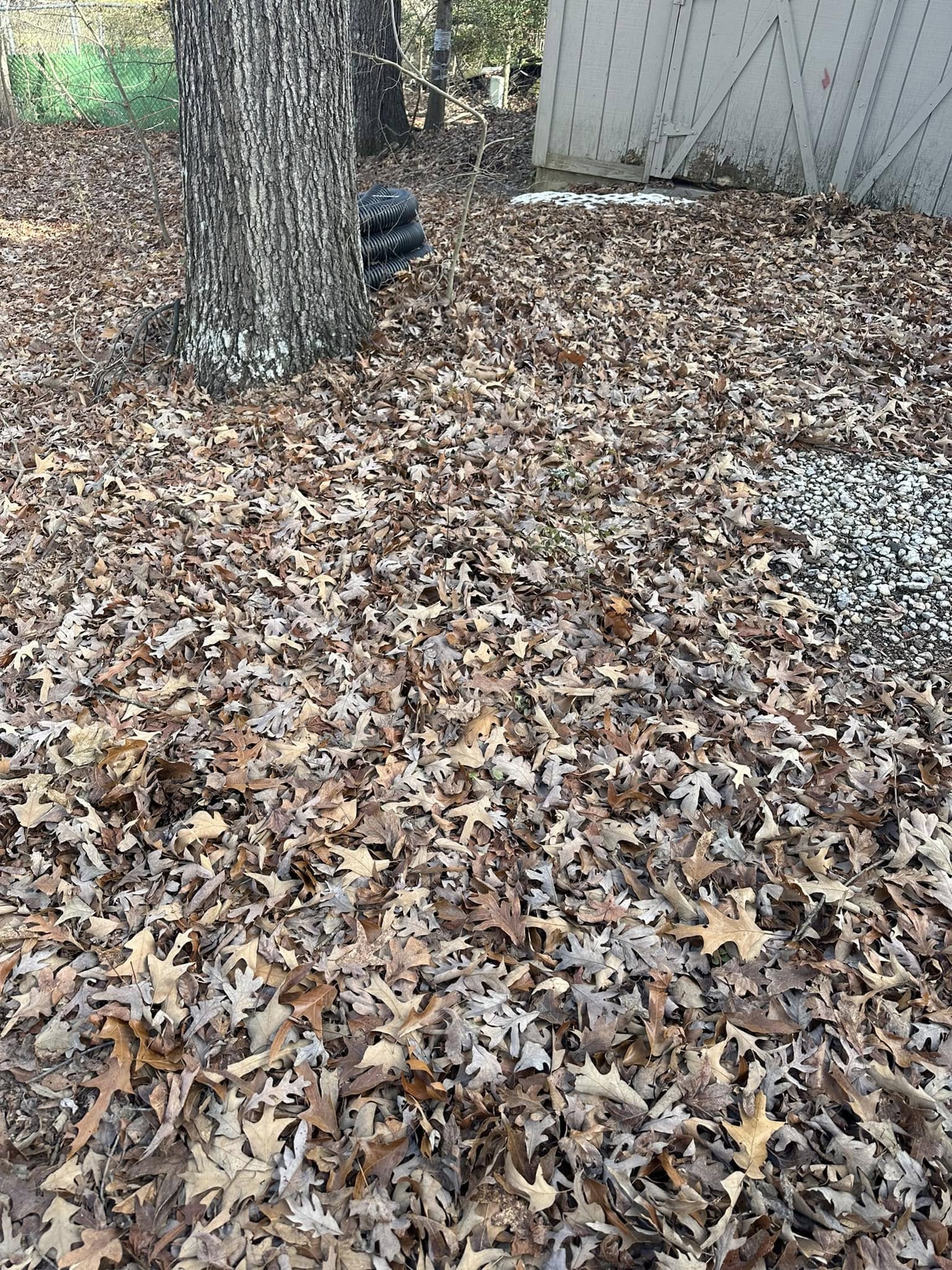  for Lawn Popper's, LLC in Richmond, VA