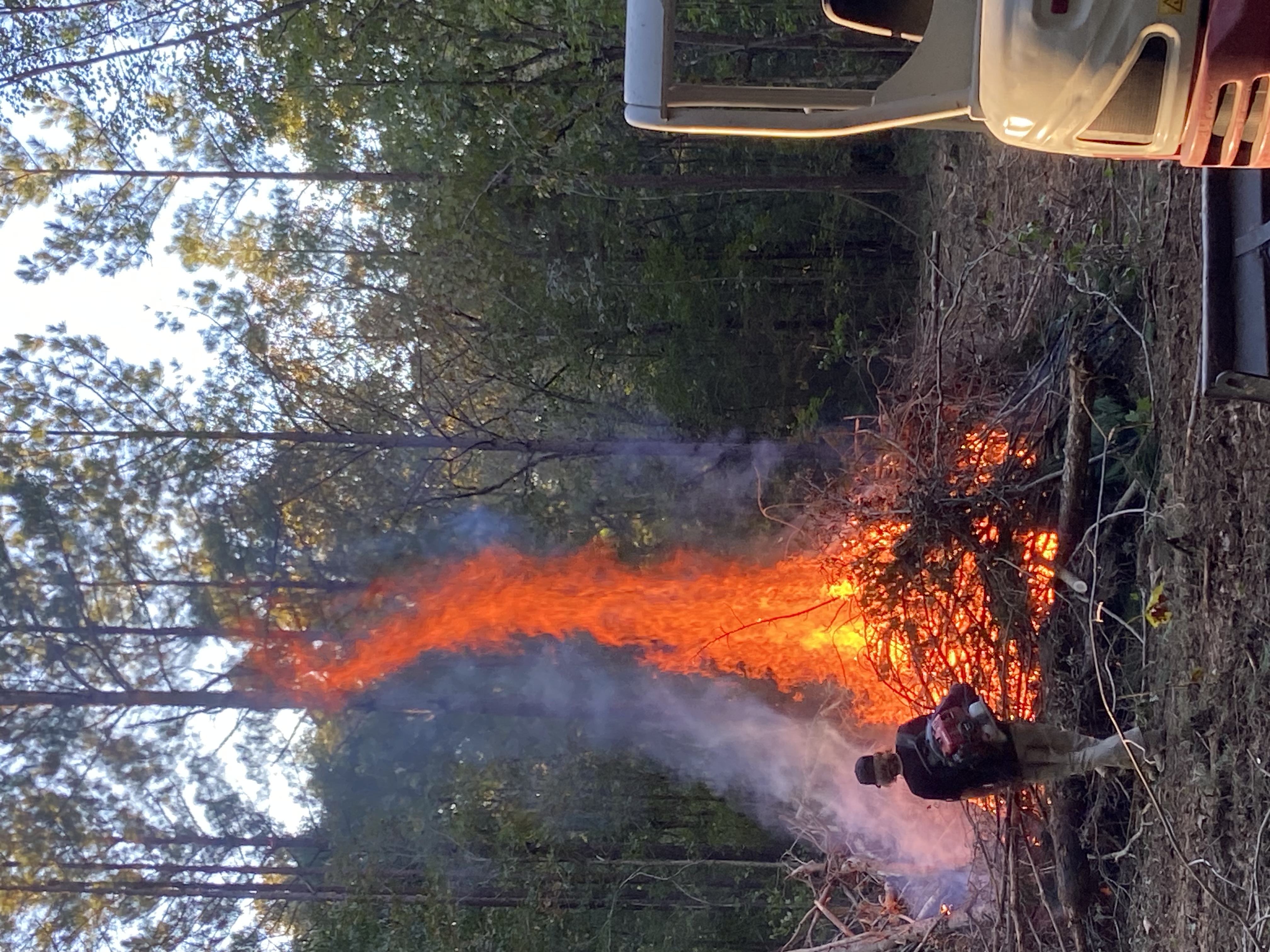 excavating company company Upchurch Property Management in Carthage, NC