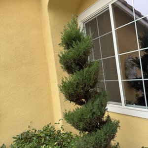  for CBA Landscaping in Hayward, CA