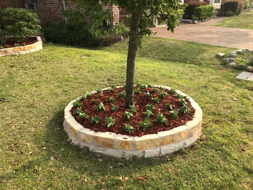  for Tree Valley Landscaping in Dallas, TX