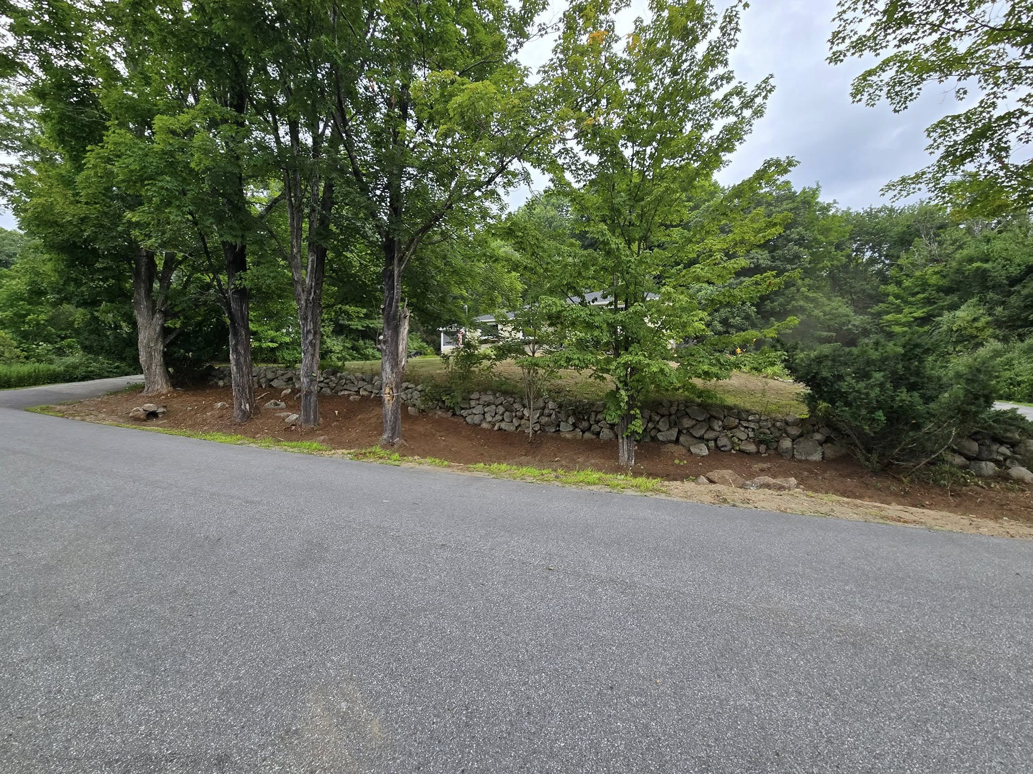 cover-photo