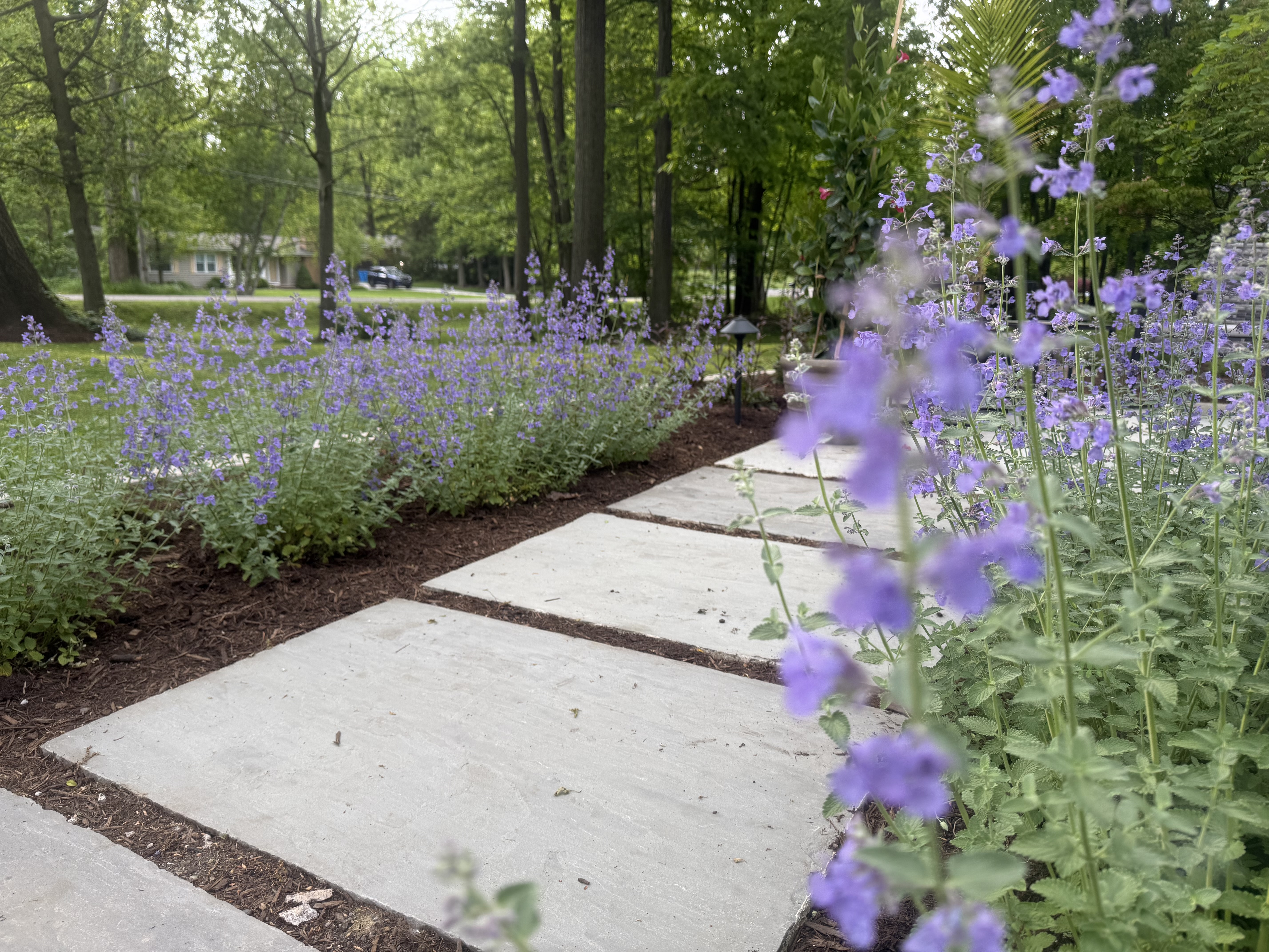  for Hillside Landscape & Design in Chesterland, OH
