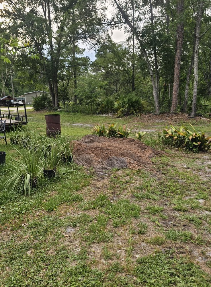  for Stumps done right LLC in Middleburg, FL