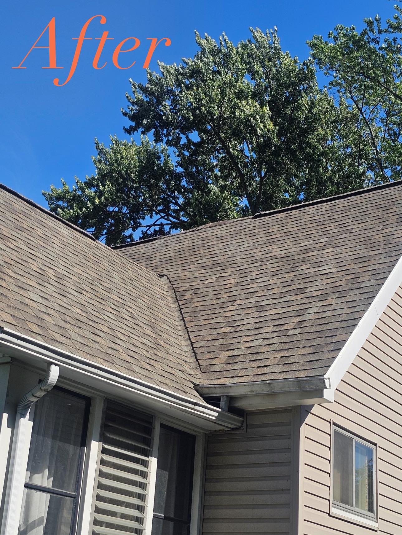  for Contractors Roofing in Dearborn, MI