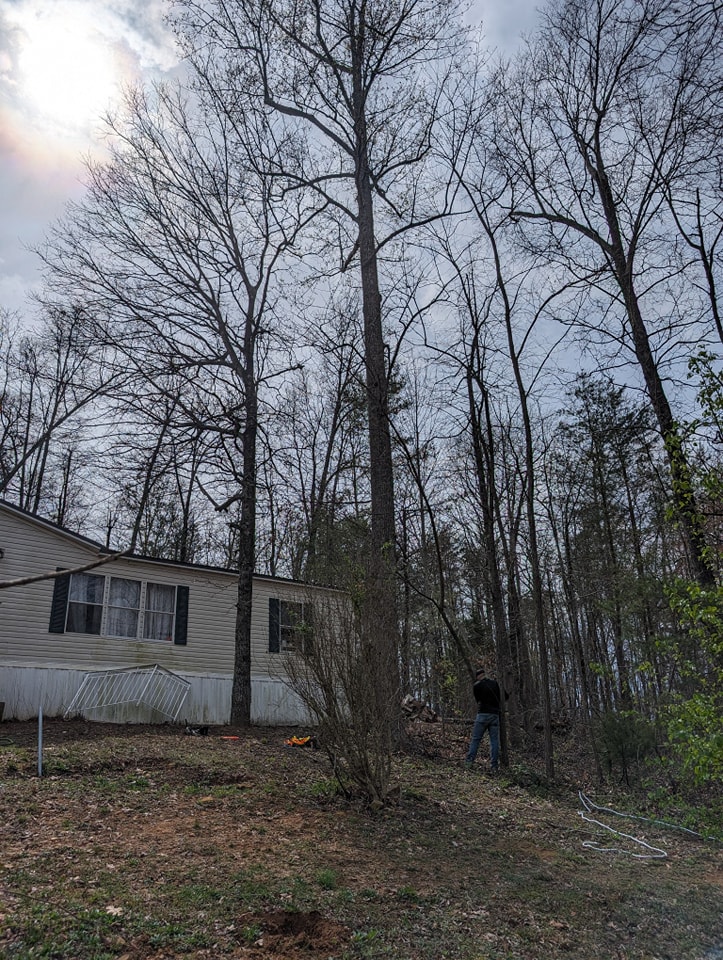  for Wade's Family Tree Service in Townsend, TN