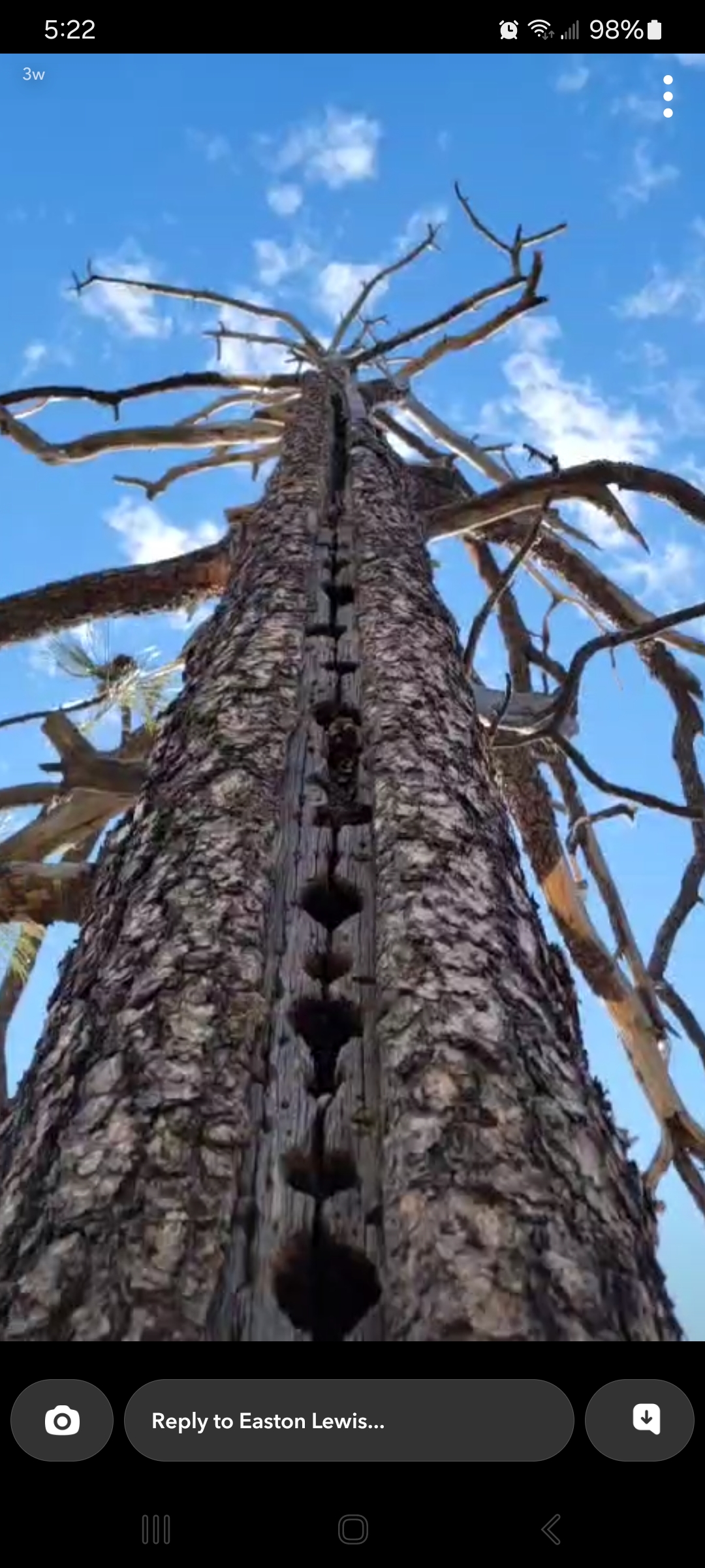  for StockPro Tree Specialists in Show Low, AZ