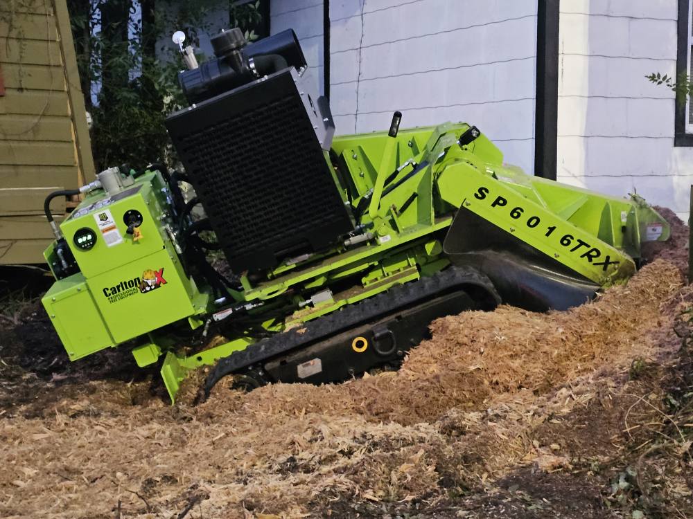  for Stumps done right LLC in Middleburg, FL