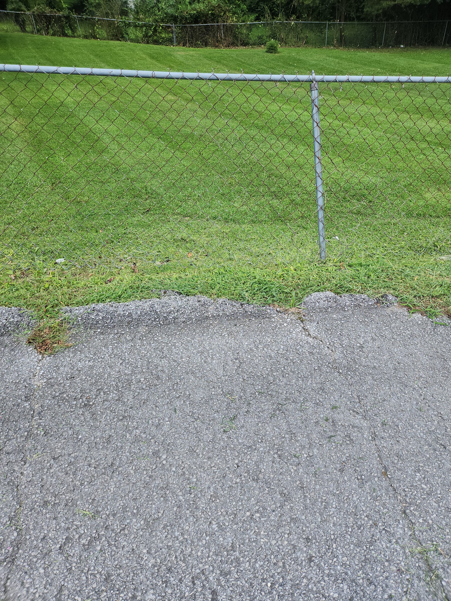 Landscaping company Ordered Steps Landscaping in Rossville, GA