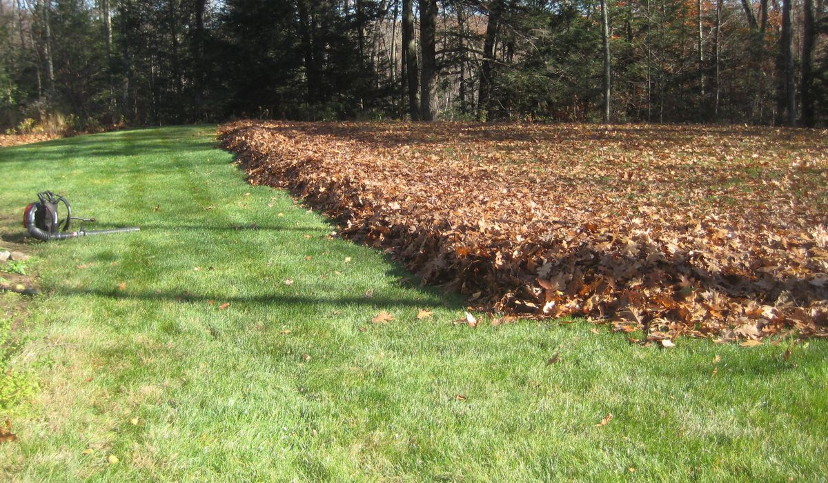  for High Tree Service & Landscaping in Atlanta, GA