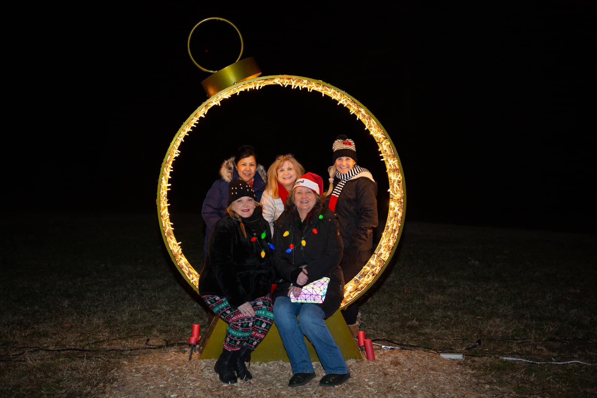  for Elite Lighting Solution in Mechanicsville, Virginia