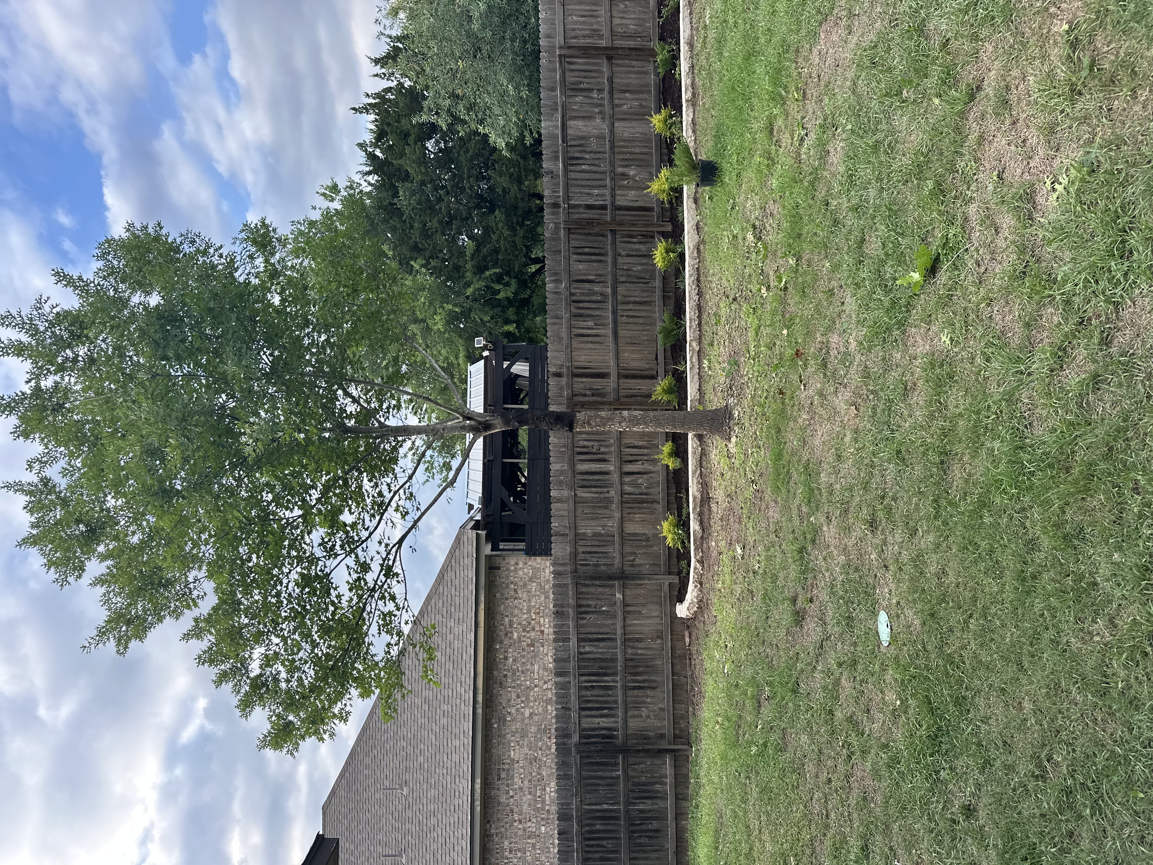  for DR Landscape in San Antonio, TX