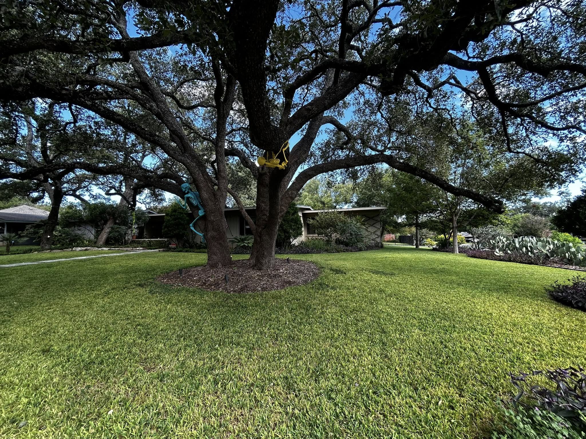 Good and Green Landscaping team in Canyon Lake, TX - people or person