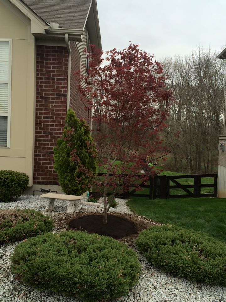 tree service company Precision Tree Service, Inc. in Ryland Heights, KY