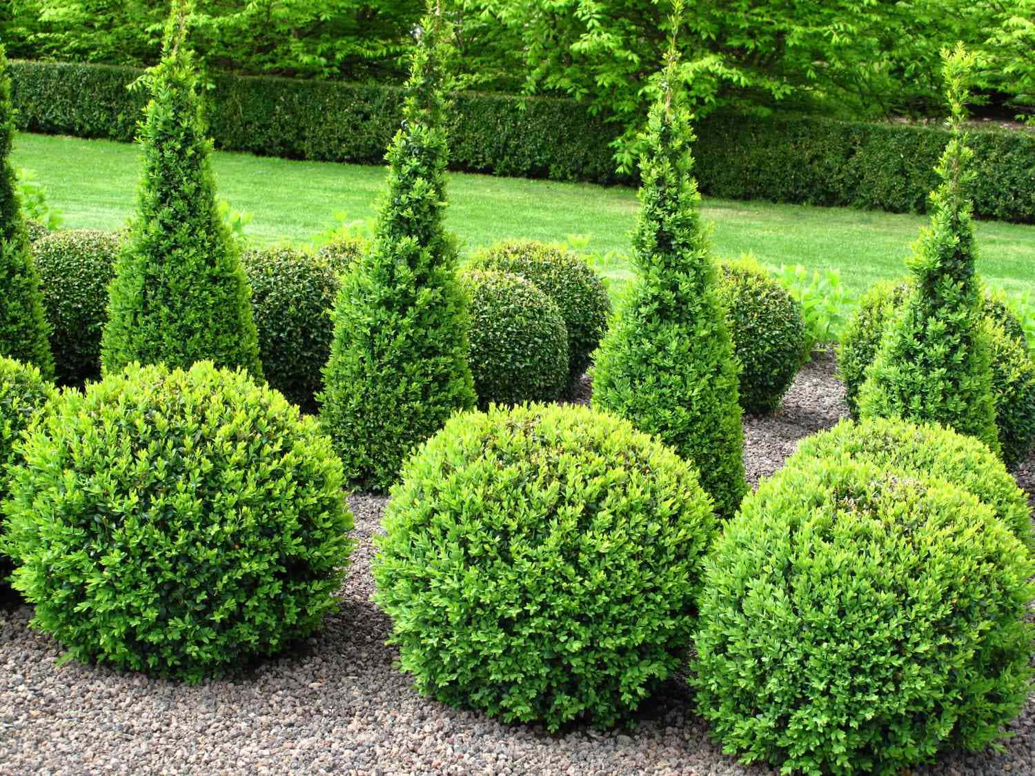  for Tru Tree Service LLC in Lecanto, FL