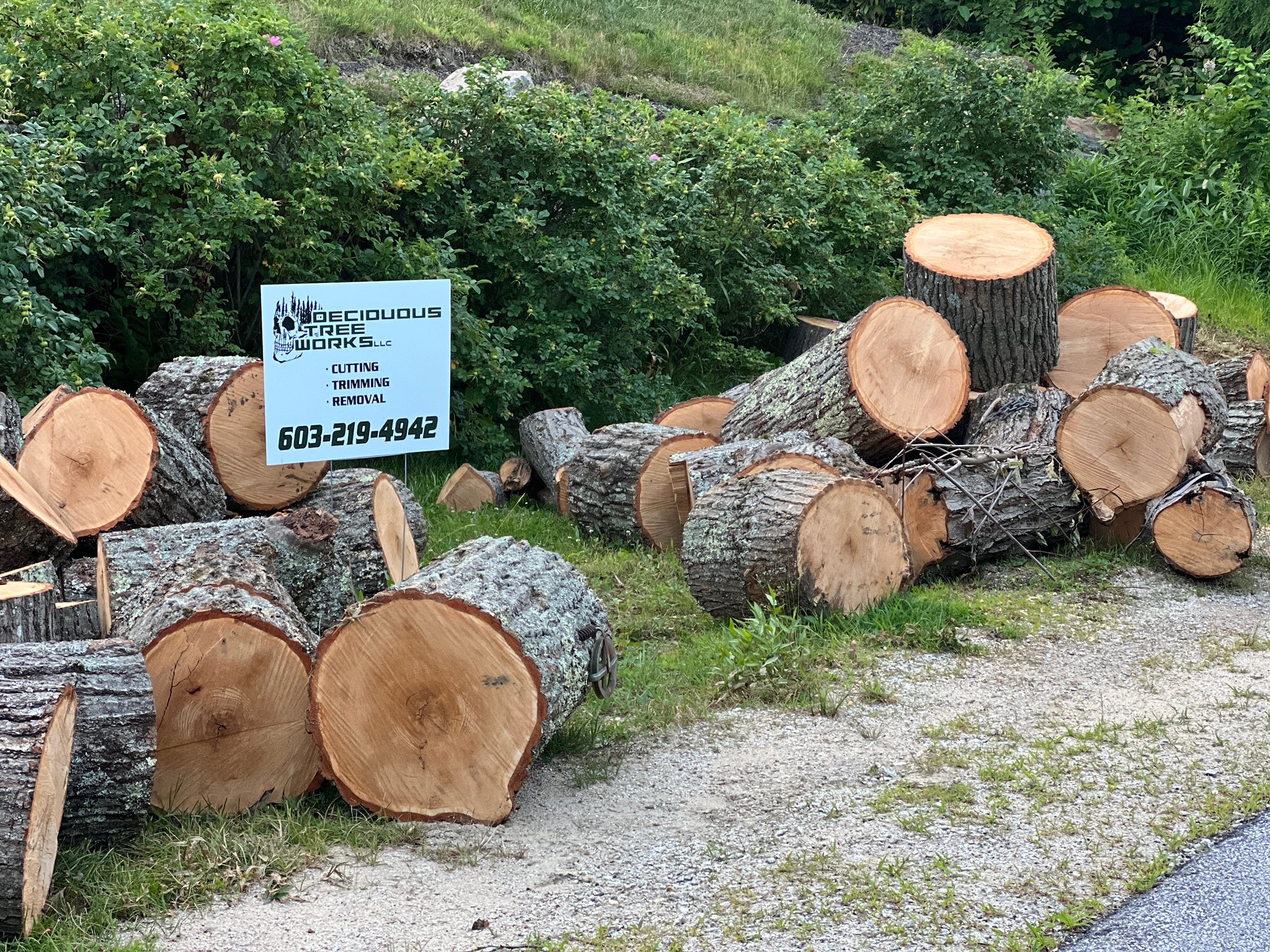  for Deciduous Treeworks LLC in Concord, NH