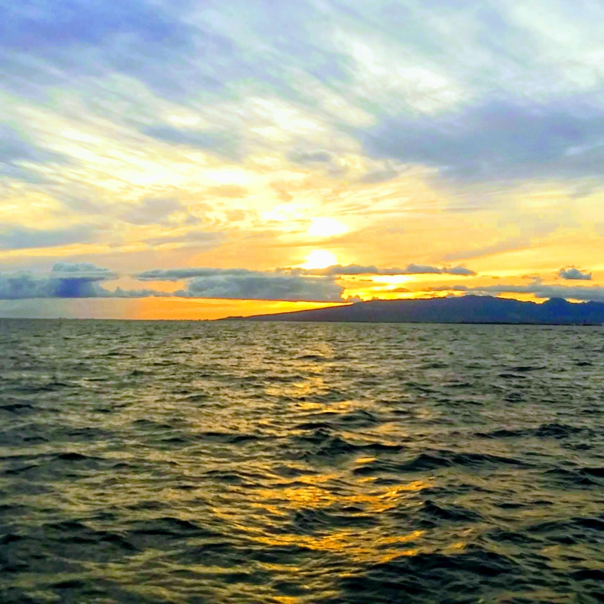  for Rutledge Contracting LLC in Hazel Green, AL