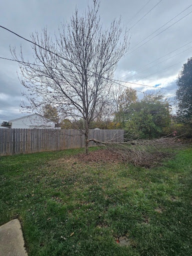  for Tingley's Green Land Services in Springfield, Ohio