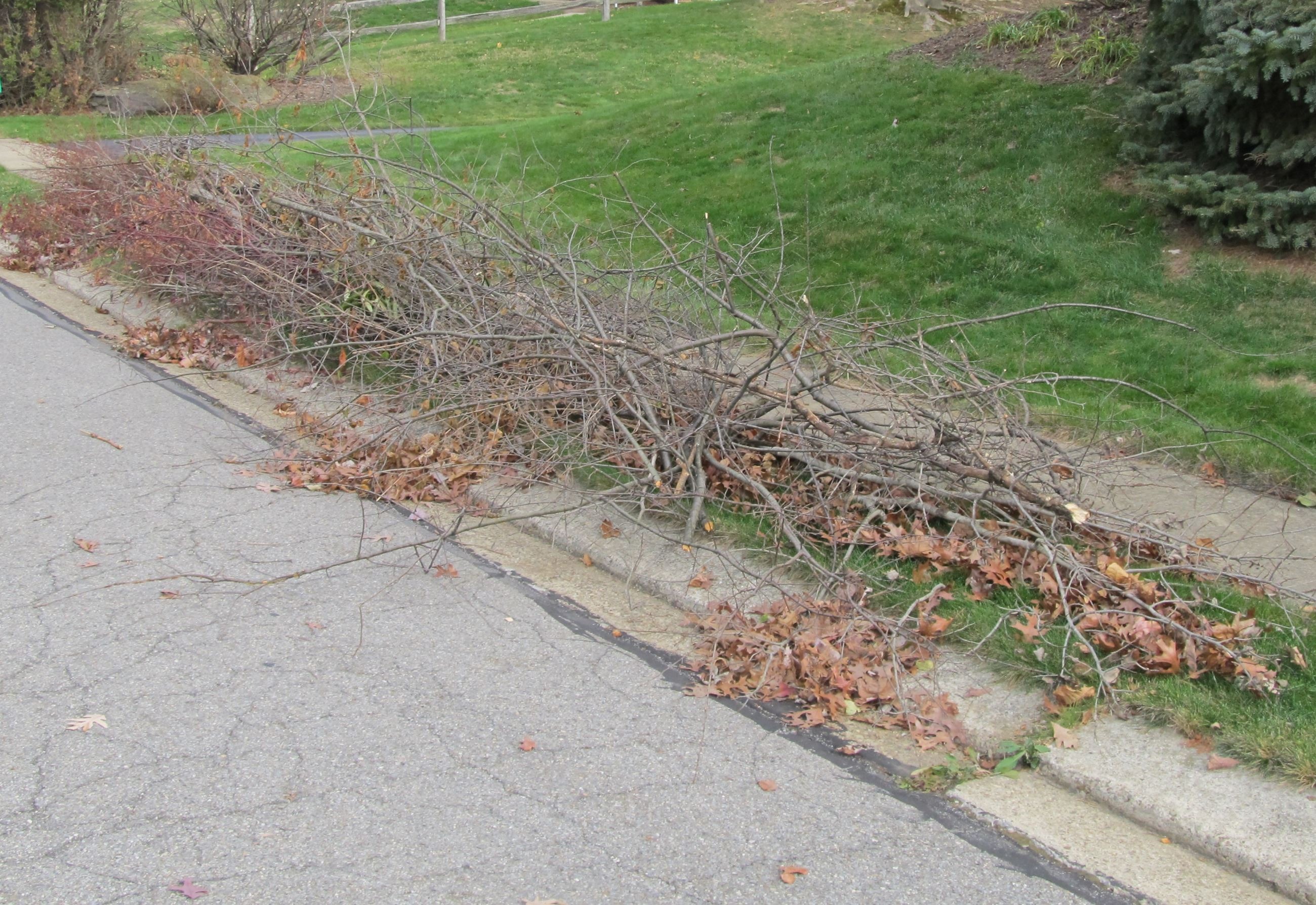  for Thrashers Utilities Services in Sultan, WA