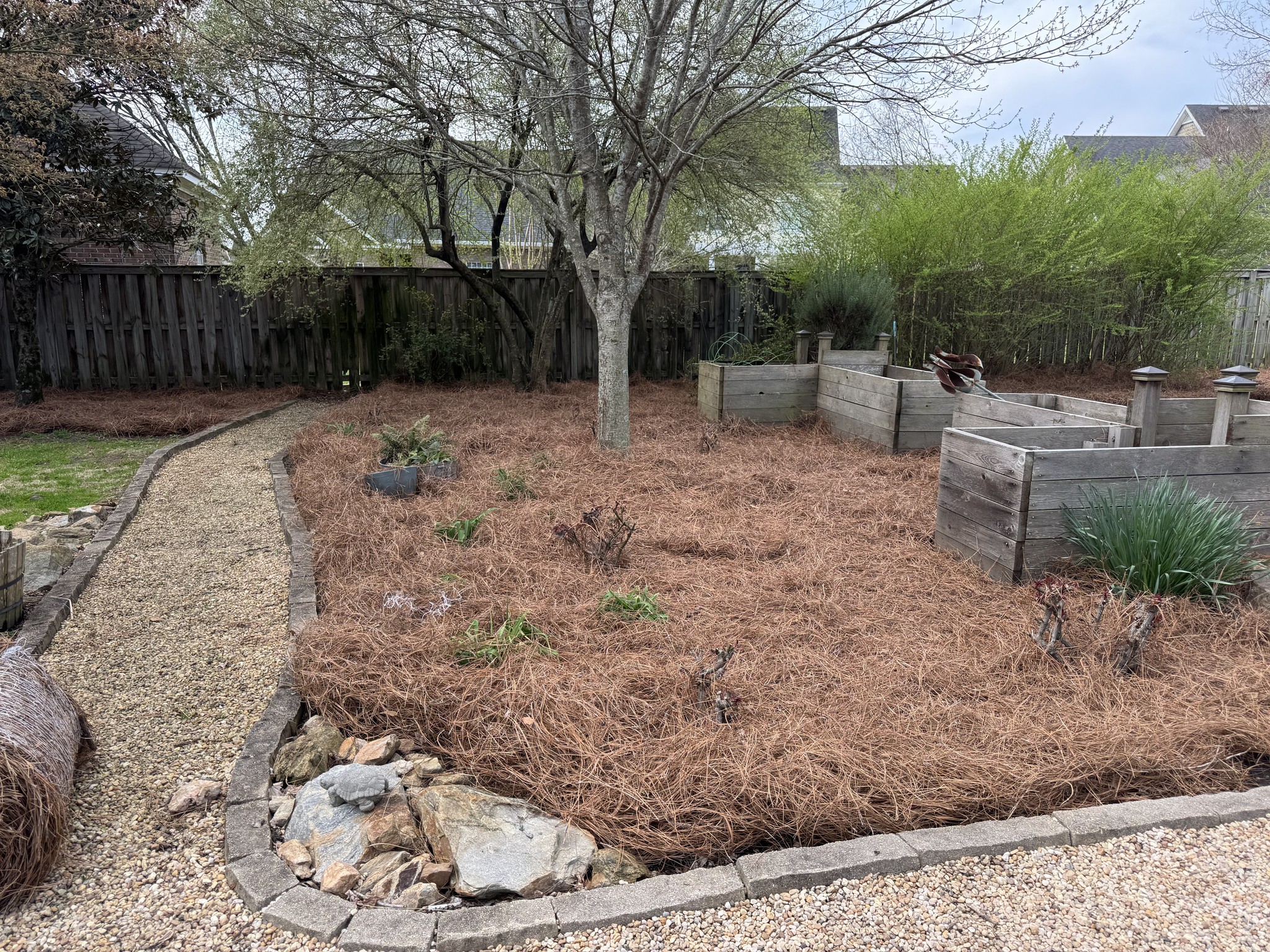  for Myles Mows in Augusta, GA